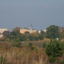 W tle wieża Kolegiaty. - panoramio